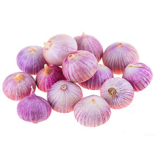 Chinese fresh solo garlic cloves